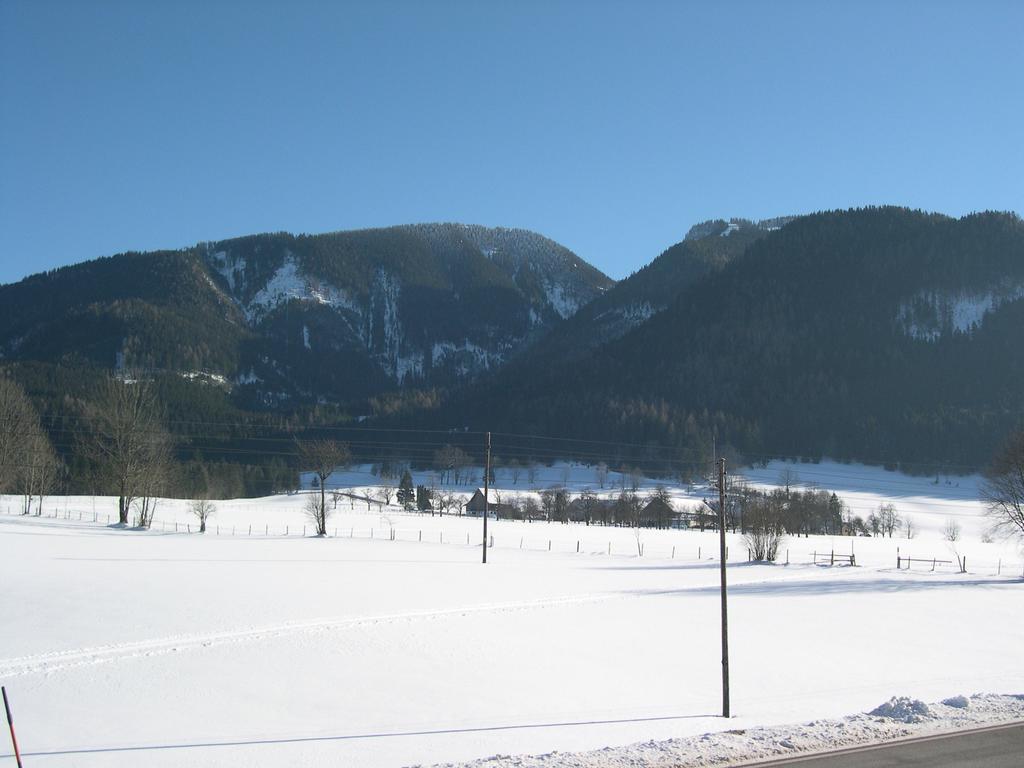 Bauernhof Plachl Lassing  Esterno foto